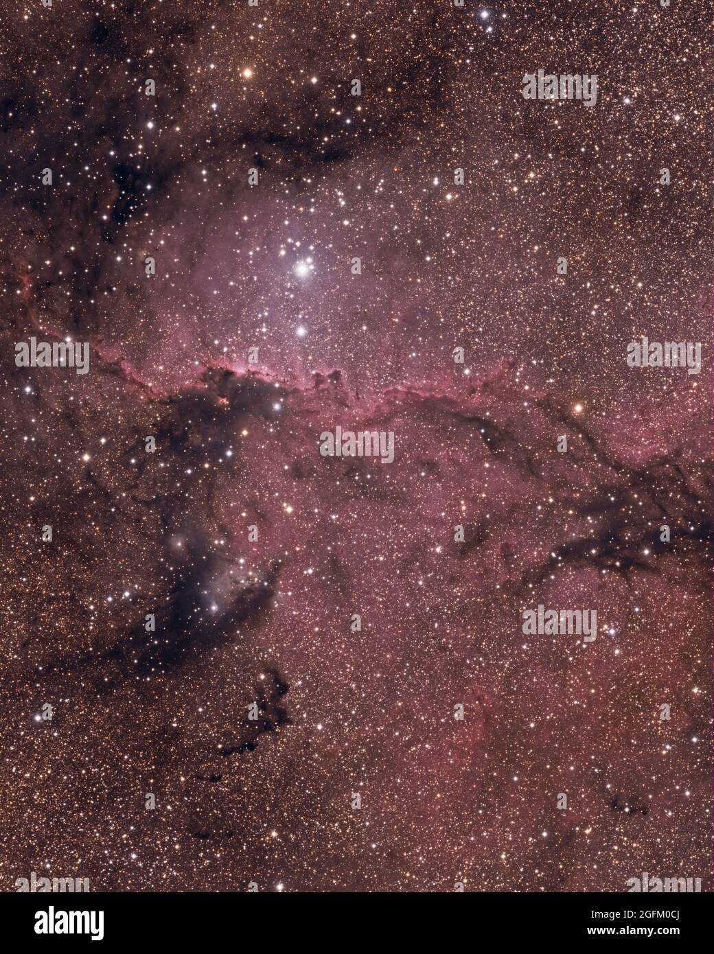 NGC 6188, noto anche come Dragoni combattenti di Ara, è una nebulosa di emissione situata a circa 4,000 anni luce di distanza nella costellazione di Ara. Foto Stock