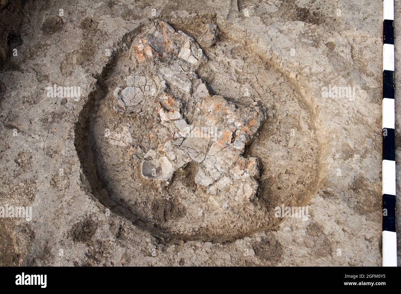 Scavi archeologici, scavare un antico manufatto argilloso con attrezzi speciali nel terreno Foto Stock