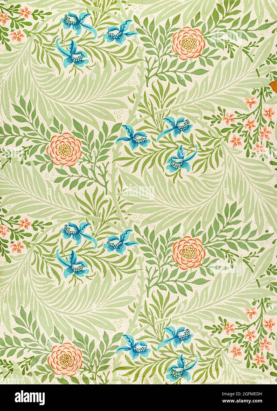Larkspur pattern (1874) di William Morris. Foto Stock