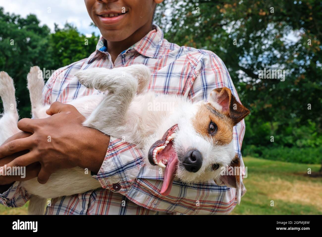 Uomo che tiene un divertente Jack Russell terrier in braccio in estate all'aperto Foto Stock
