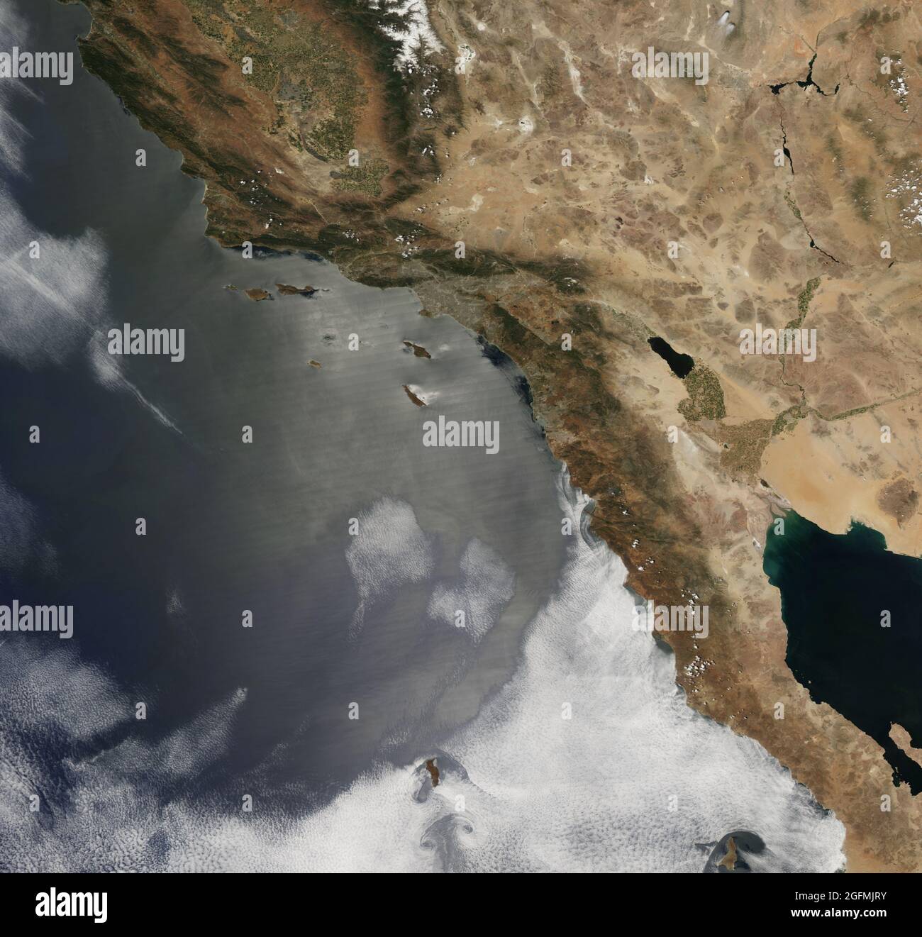 Alla fine di ottobre 2007, una tempesta di fuoco del earthobservatory.nasa.gov/NaturalHazards/natural hazards v2.php3?img id=14600 esplose attraverso la California meridionale. Alimentato dalla vegetazione secca e dai potenti venti di Santa Ana, i fuochi selvatici della California hanno bruciato quasi 30,000 acri (120 chilometri quadrati) nell'autunno del 2007. A marzo dell'anno seguente, le aree bruciate erano cresciute nuovamente con vegetazione lussureggiante, ma a maggio 2008, quella vegetazione si era asciugata, fornendo combustibile potenziale per un altro firestorm. Lo spettroradiometro di imaging a risoluzione moderata modis.gsfc.nasa.gov (MODIS) su terra.nasa.gov/Terra and della NASA Foto Stock