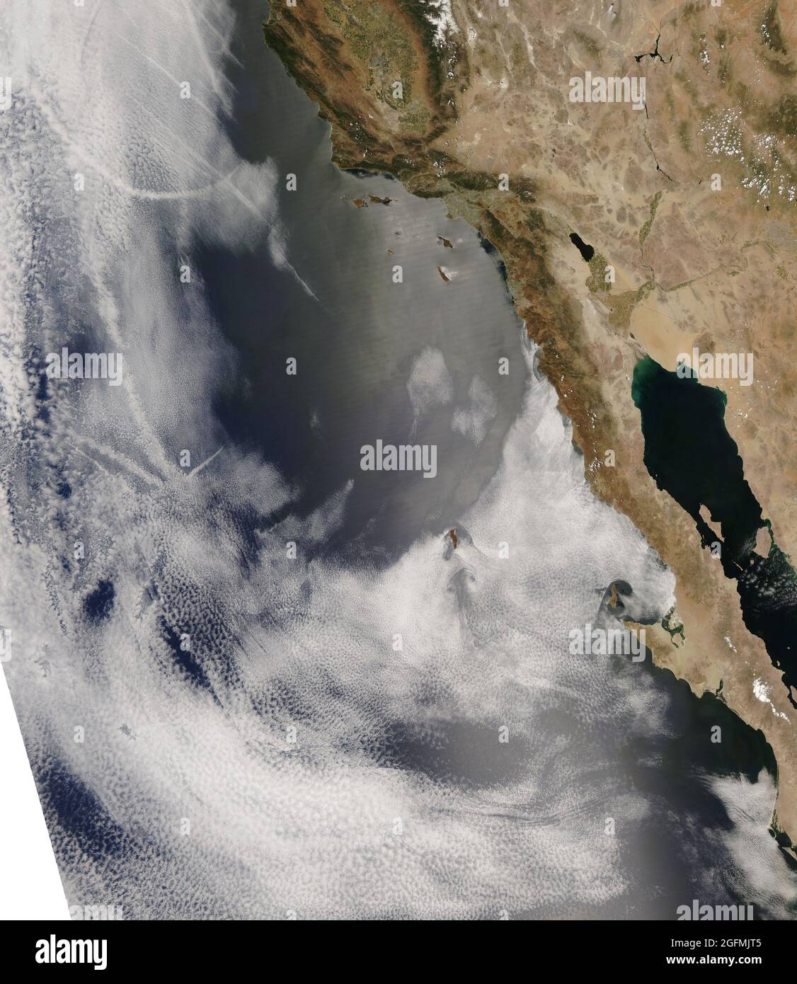 Alla fine di ottobre 2007, una tempesta di fuoco del earthobservatory.nasa.gov/NaturalHazards/natural hazards v2.php3?img id=14600 esplose attraverso la California meridionale. Alimentato dalla vegetazione secca e dai potenti venti di Santa Ana, i fuochi selvatici della California hanno bruciato quasi 30,000 acri (120 chilometri quadrati) nell'autunno del 2007. A marzo dell'anno seguente, le aree bruciate erano cresciute nuovamente con vegetazione lussureggiante, ma a maggio 2008, quella vegetazione si era asciugata, fornendo combustibile potenziale per un altro firestorm. Lo spettroradiometro di imaging a risoluzione moderata modis.gsfc.nasa.gov (MODIS) su terra.nasa.gov/Terra and della NASA Foto Stock