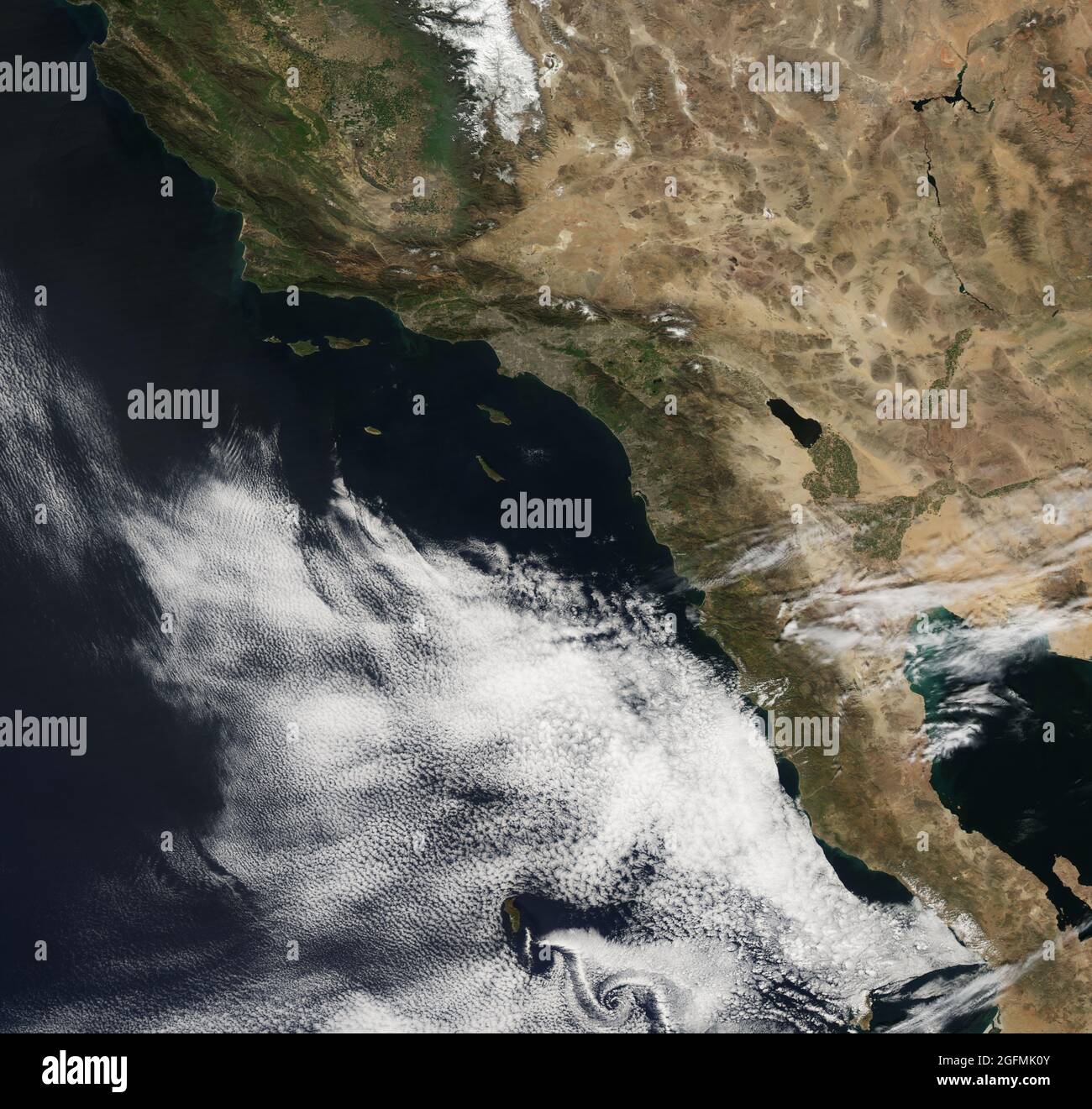 Alla fine di ottobre 2007, una tempesta di fuoco del earthobservatory.nasa.gov/NaturalHazards/natural hazards v2.php3?img id=14600 esplose attraverso la California meridionale. Alimentato dalla vegetazione secca e dai potenti venti di Santa Ana, i fuochi selvatici della California hanno bruciato quasi 30,000 acri (120 chilometri quadrati) nell'autunno del 2007. A marzo dell'anno seguente, le aree bruciate erano cresciute nuovamente con vegetazione lussureggiante, ma a maggio 2008, quella vegetazione si era asciugata, fornendo combustibile potenziale per un altro firestorm. Lo spettroradiometro di imaging a risoluzione moderata modis.gsfc.nasa.gov (MODIS) su terra.nasa.gov/Terra and della NASA Foto Stock