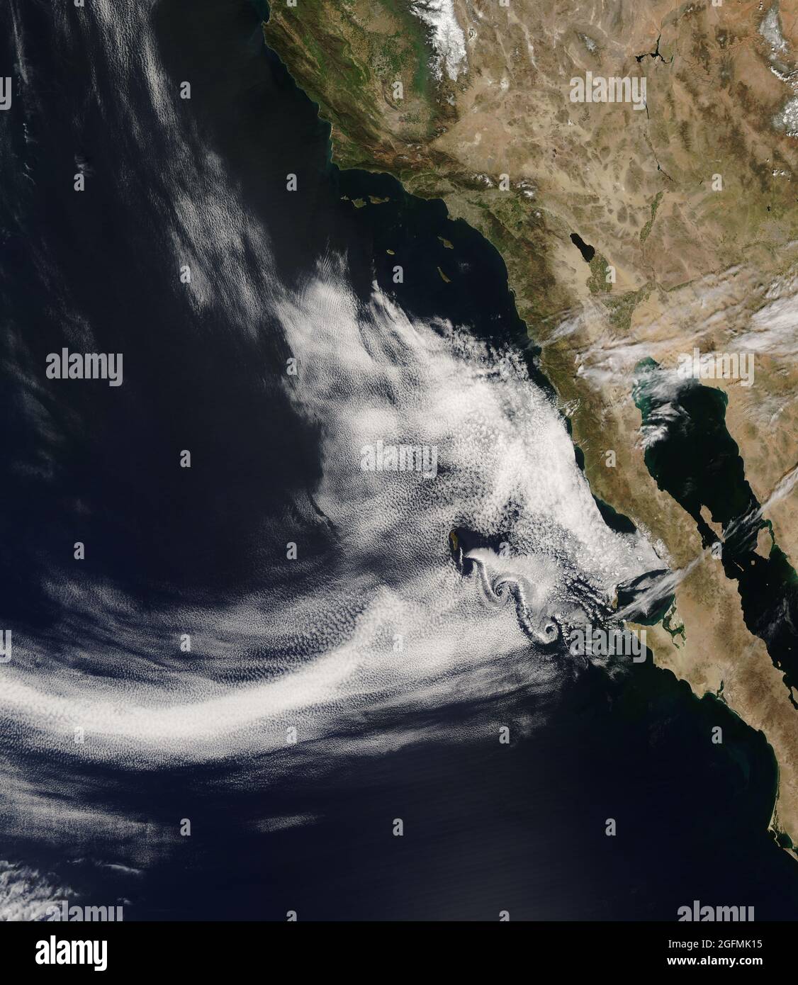 Alla fine di ottobre 2007, una tempesta di fuoco del earthobservatory.nasa.gov/NaturalHazards/natural hazards v2.php3?img id=14600 esplose attraverso la California meridionale. Alimentato dalla vegetazione secca e dai potenti venti di Santa Ana, i fuochi selvatici della California hanno bruciato quasi 30,000 acri (120 chilometri quadrati) nell'autunno del 2007. A marzo dell'anno seguente, le aree bruciate erano cresciute nuovamente con vegetazione lussureggiante, ma a maggio 2008, quella vegetazione si era asciugata, fornendo combustibile potenziale per un altro firestorm. Lo spettroradiometro di imaging a risoluzione moderata modis.gsfc.nasa.gov (MODIS) su terra.nasa.gov/Terra and della NASA Foto Stock