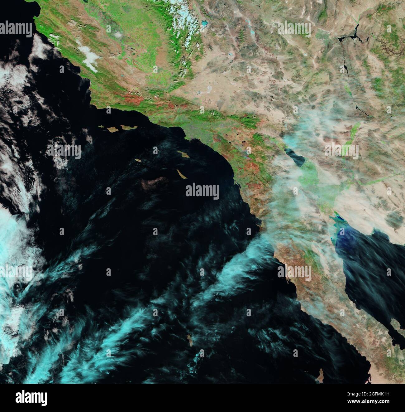 Alla fine di ottobre 2007, una tempesta di fuoco del earthobservatory.nasa.gov/NaturalHazards/natural hazards v2.php3?img id=14600 esplose attraverso la California meridionale. Alimentato dalla vegetazione secca e dai potenti venti di Santa Ana, i fuochi selvatici della California hanno bruciato quasi 30,000 acri (120 chilometri quadrati) nell'autunno del 2007. A marzo dell'anno seguente, le aree bruciate erano cresciute nuovamente con vegetazione lussureggiante, ma a maggio 2008, quella vegetazione si era asciugata, fornendo combustibile potenziale per un altro firestorm. Lo spettroradiometro di imaging a risoluzione moderata modis.gsfc.nasa.gov (MODIS) su terra.nasa.gov/Terra and della NASA Foto Stock