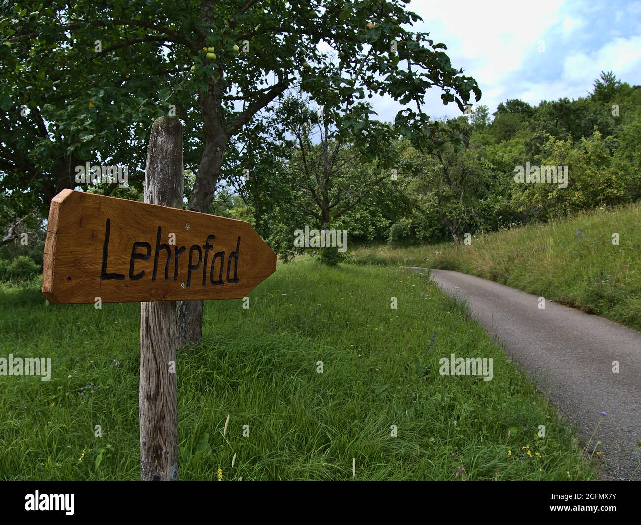 Cartello in legno che indica la direzione del percorso didattico (testo tedesco: 'Lehrpfad') sotto il monte Limburg con prati e strada asfaltata. Foto Stock