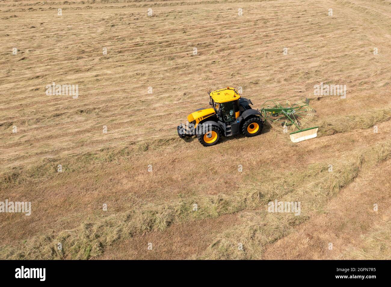 Trattore giallo che traina un rastrello rotante per fieno in un campo di vegetazione tagliata Foto Stock