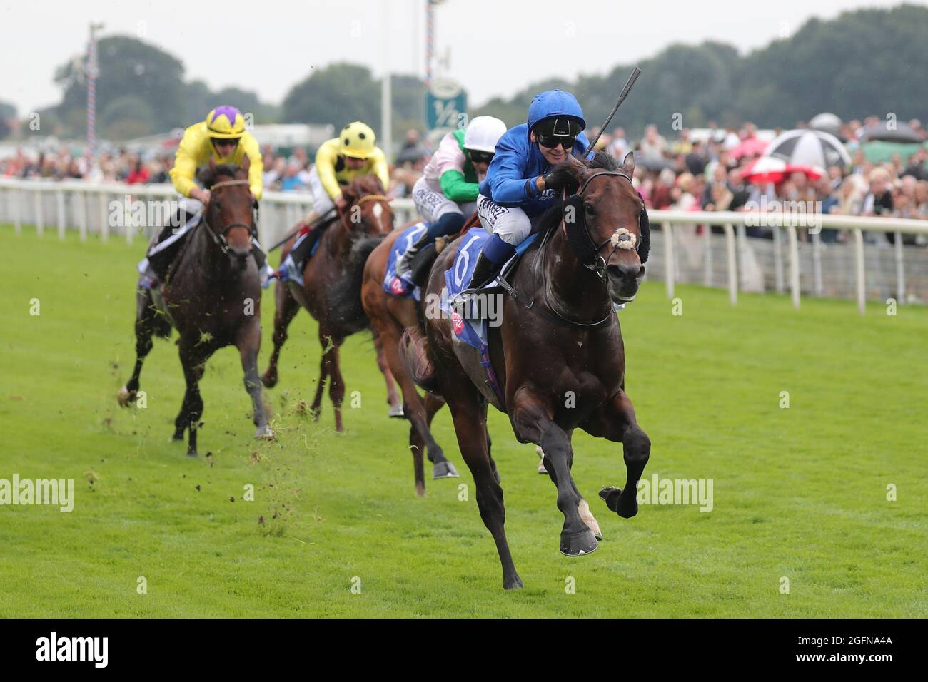 MONDO REALE, INDOVINATO DA MARCO GHIANI, 2021 Foto Stock