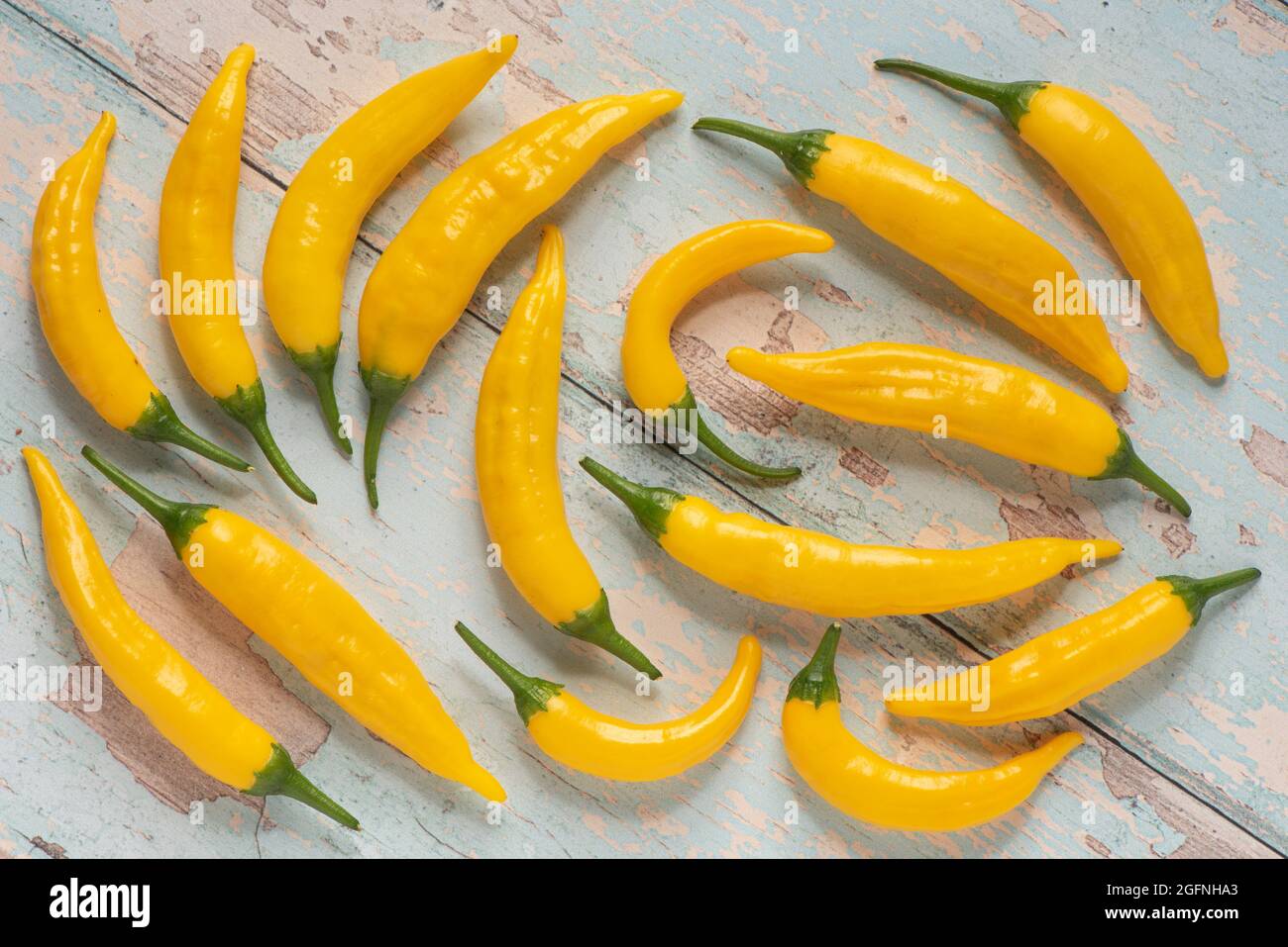 Peruviano giallo Aji chilis. Foto Stock