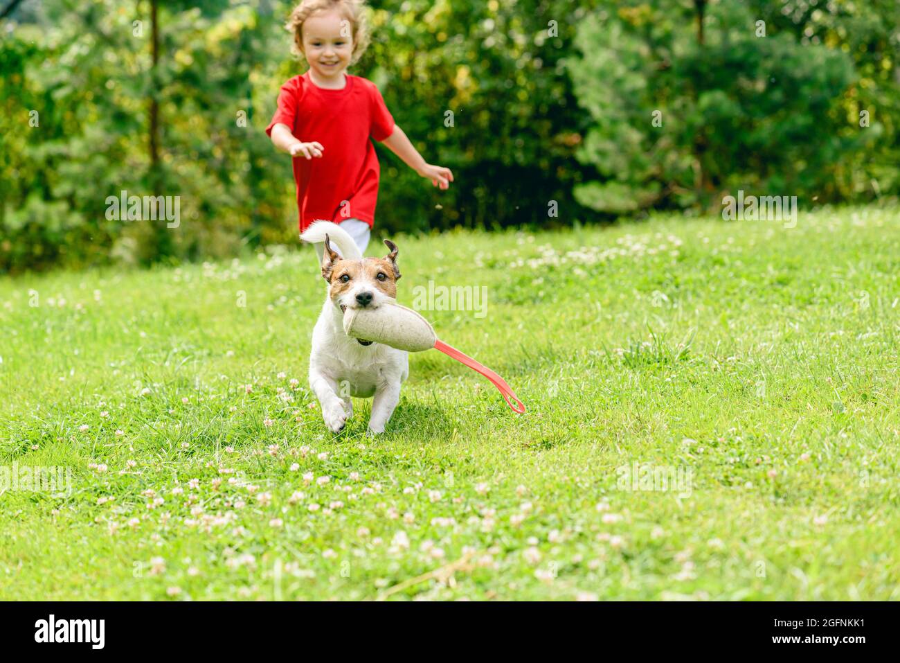 Cane con giocattolo che lancia stridulo che corre via dalla bambina sul bel prato estivo in cortile Foto Stock