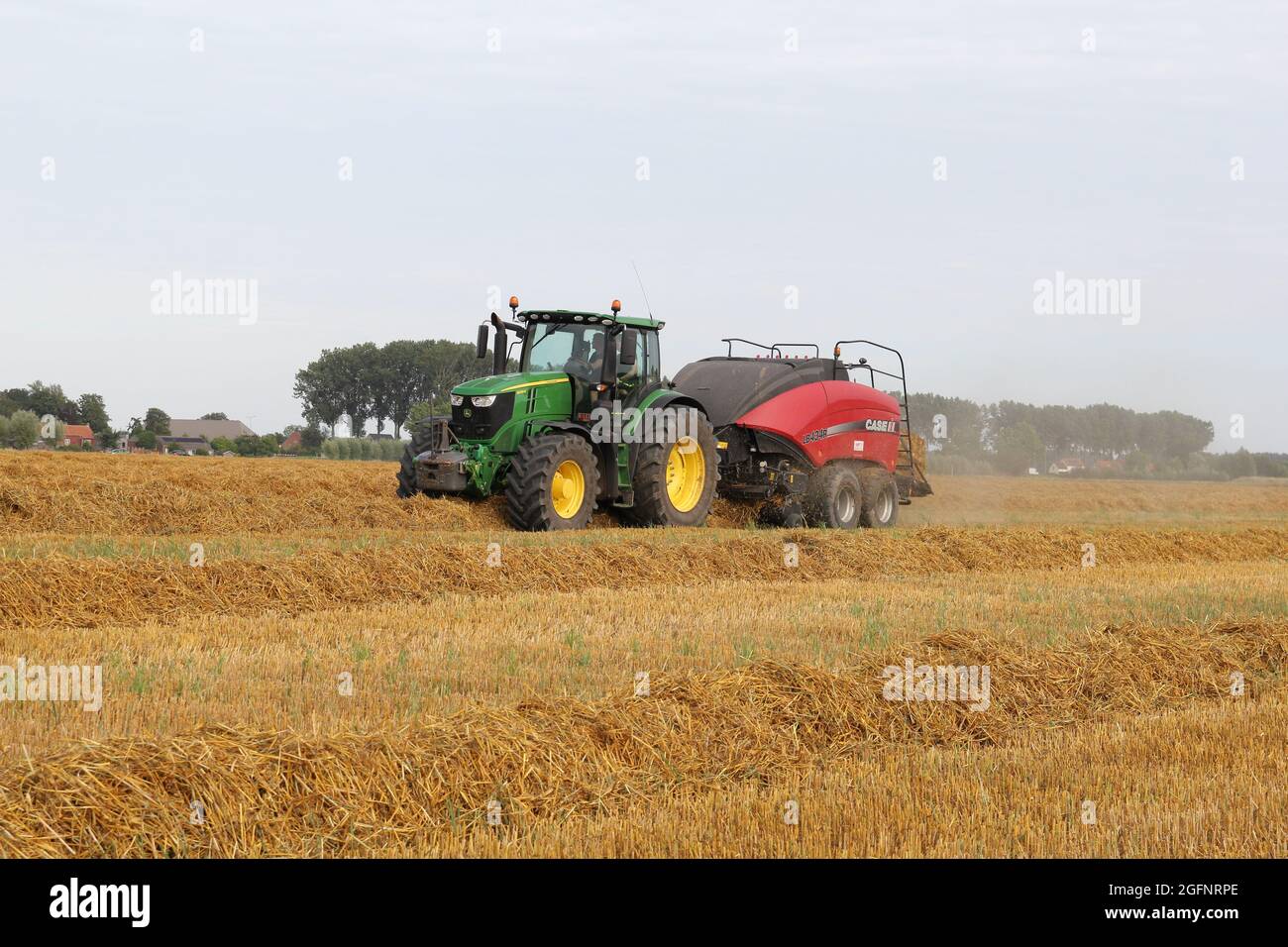 un trattore con un'imballatrice grande sta fabbricando balle di fieno in un campo nella campagna olandese in estate Foto Stock