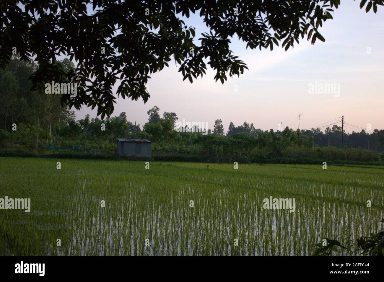 Splendida vista sulla Terra Foto Stock