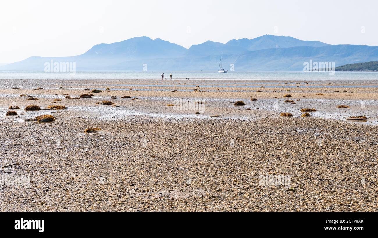 St Ninian's Bay Dog Walkers con le colline di Arran in lontananza, Isle of Bute, Argyll and Bute, Scozia, Regno Unito Foto Stock