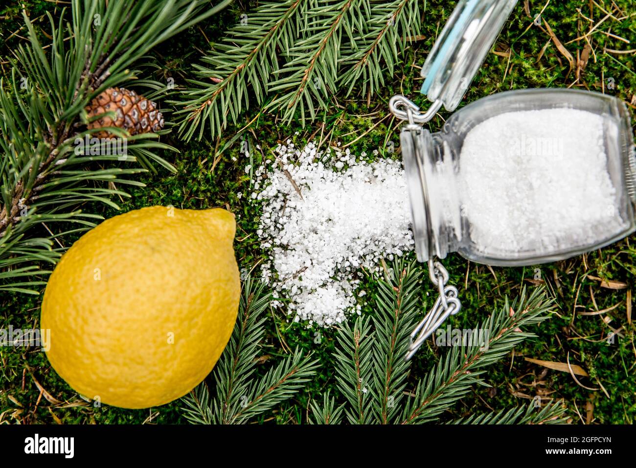 Acido citrico in vaso di vetro con frutta al limone. Prodotti naturali biologici per la pulizia della casa concetto. Foto Stock