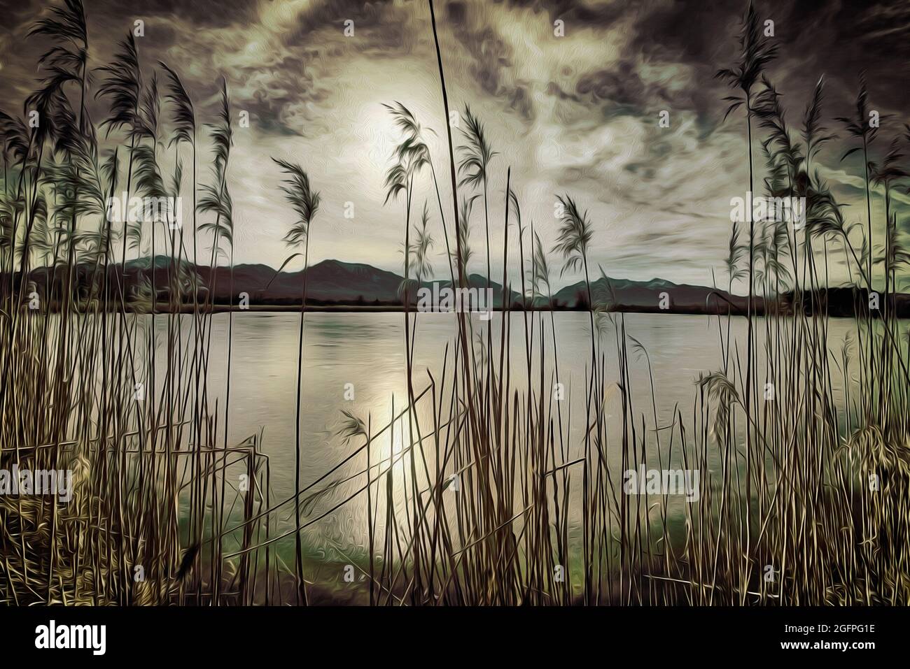 ARTE: Spatzenpointweiher (Stagno di Sparrow) a Loisach Moor a Benediktbeuern, Baviera, Germania Foto Stock