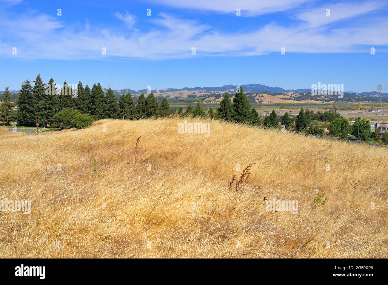 Guardando verso nord-ovest verso Carneros, Napa Valley CA Foto Stock