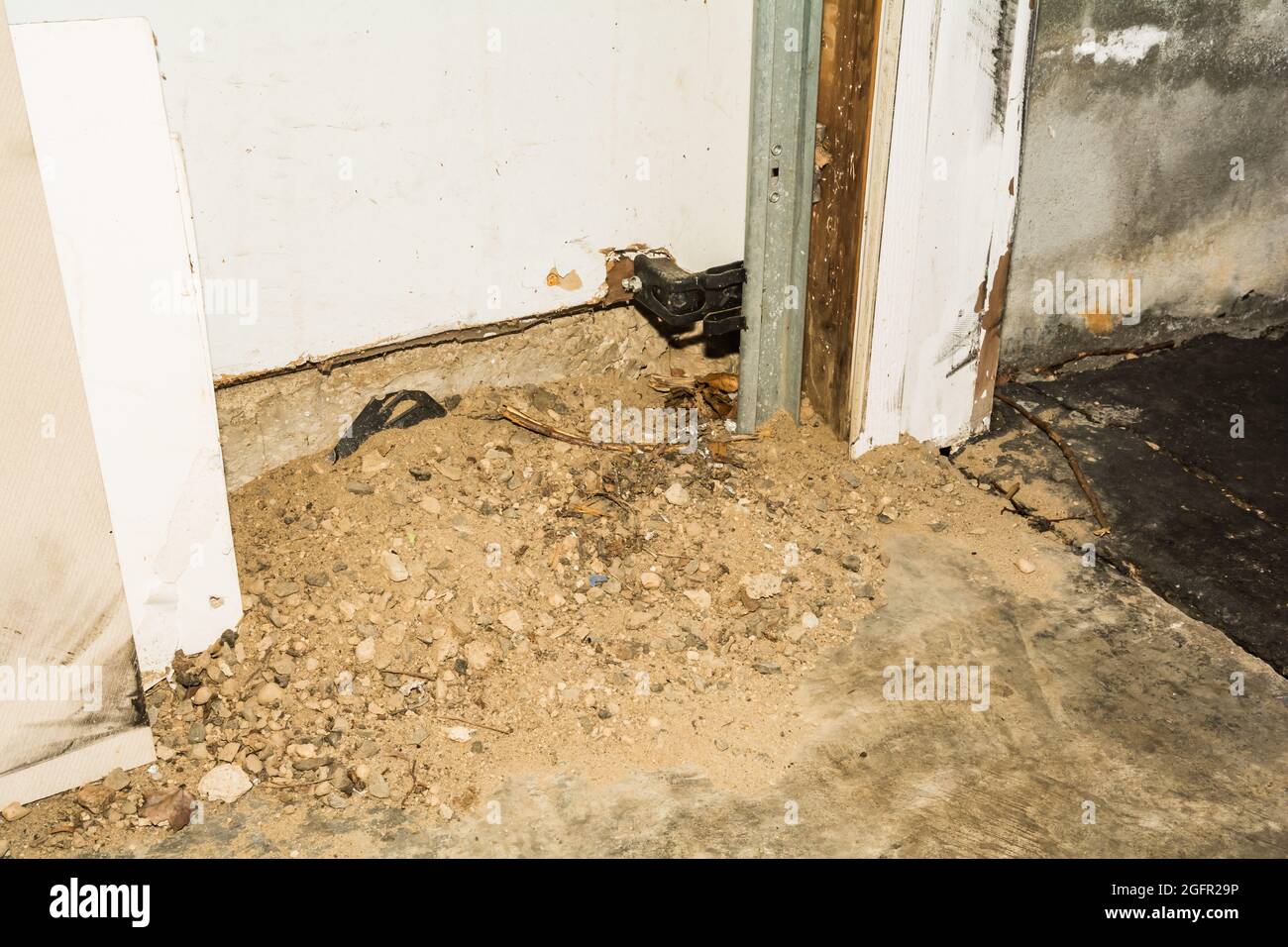 Norway Rat punto di ingresso sotto l'angolo della porta del garage. I ratti estrarranno lo sporco e i detriti dal tunnel all'interno della struttura per nascondere la loro presenza. Foto Stock