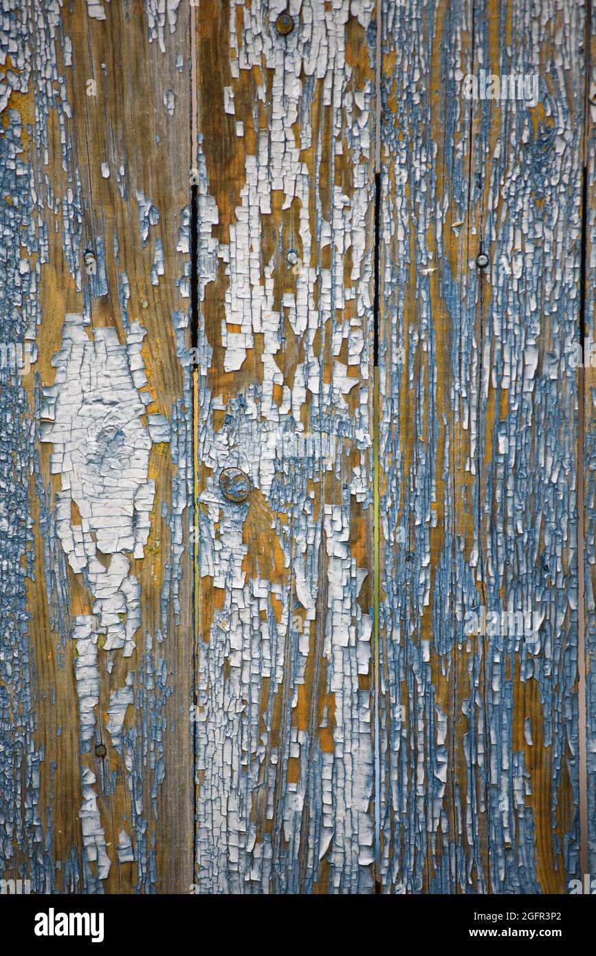 Sfondo primo piano. Tavole di legno con peeling e vernice screpolata di tanto in tanto. Foto Stock