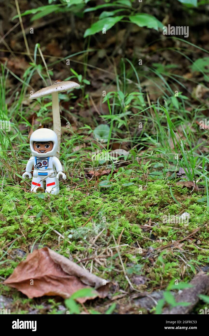 GREENVILLE, STATI UNITI - 31 luglio 2021: Un colpo verticale di una figura astronauta giocattolo Lego sull'erba Foto Stock