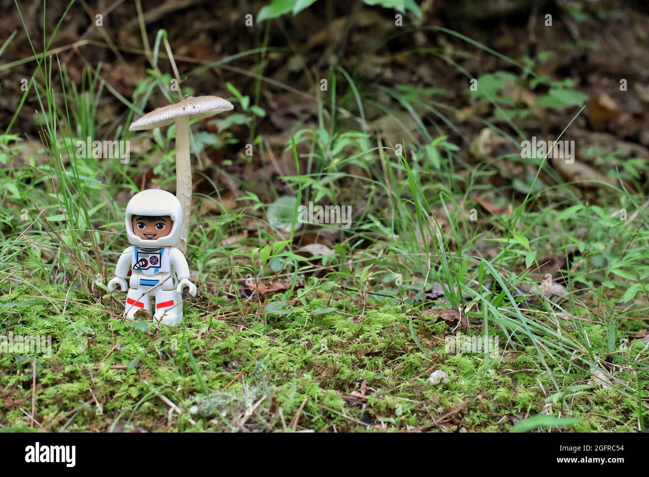 GREENVILLE, STATI UNITI d'AMERICA - 31 luglio 2021: Un primo colpo di una figura di astronauta giocattolo Lego sull'erba Foto Stock