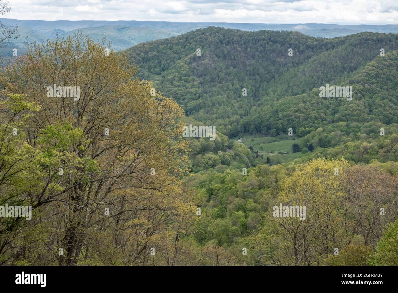 Cranberry Hill, Virginia occidentale. Vista primaverile da Cranberry Mountain Scenic Point. Foto Stock
