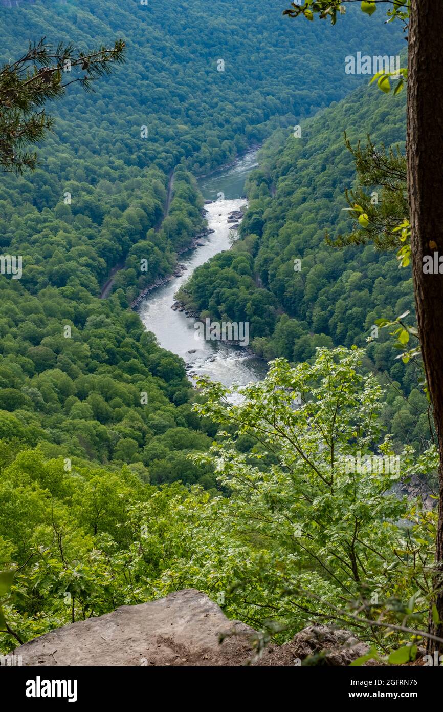 New River Gorge National Park, West Virginia. Vista sul fiume New da Endless Wall Trail. Foto Stock