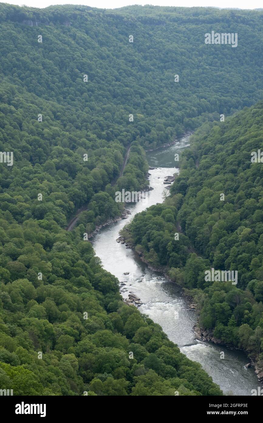 New River Gorge National Park, West Virginia. Vista sul fiume New da Endless Wall Trail. Foto Stock