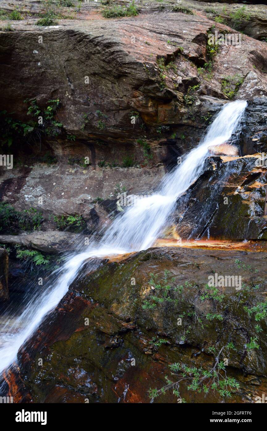 Una cascata a Centennial Glen nelle Blue Mountains dell'Australia Foto Stock