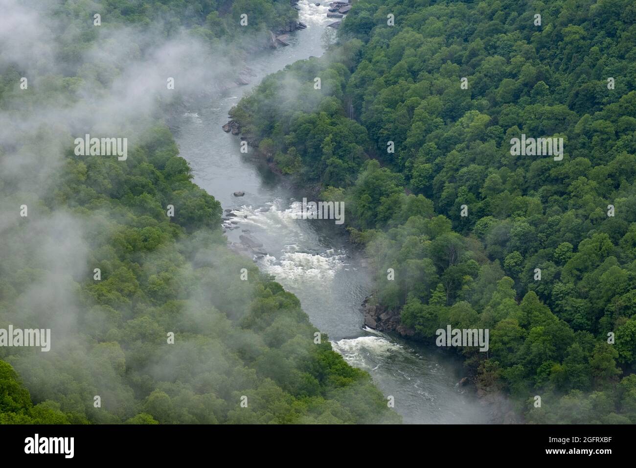 New River Gorge National Park, West Virginia. New River View from Endless Wall Trail in un giorno di pioggia. Foto Stock