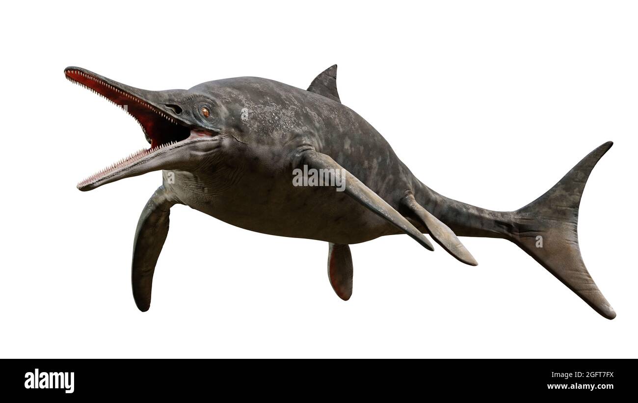 Ichthyosaur, rettile marino estinto da inizio Triassico a fine Cretaceo, isolato su sfondo bianco, rendering paleoart 3d Foto Stock