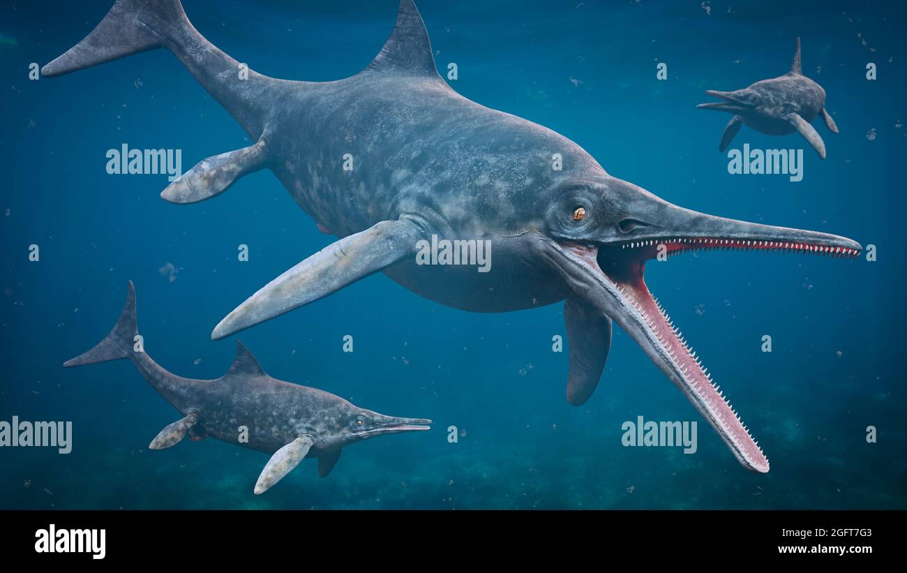 Ichthyosaur stenopterygius, grandi rettili marini estinti da primo Triassico a tardo Cretaceo, 3D scienza rendering Foto Stock