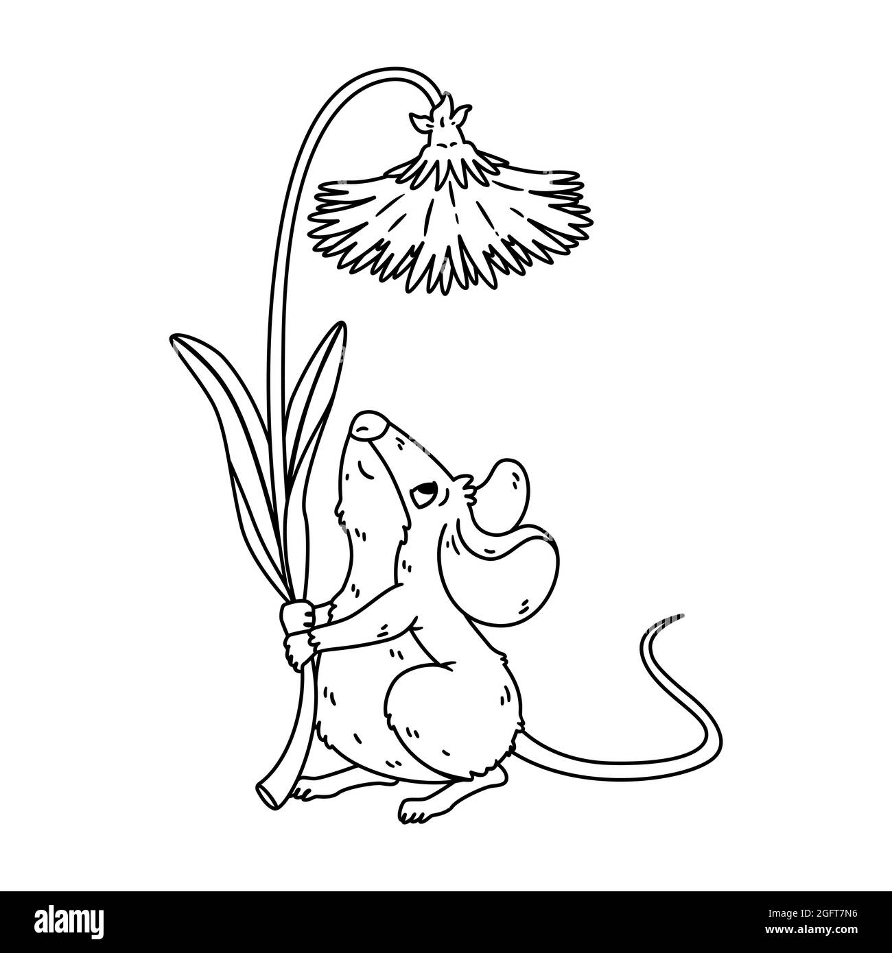 Piccolo bosco mouse tenere dente di leone. Vole prato con fiore. Fiore di mantenimento del ratto. Illustrazione isolata del carattere vettoriale su sfondo bianco. Colorazione Illustrazione Vettoriale