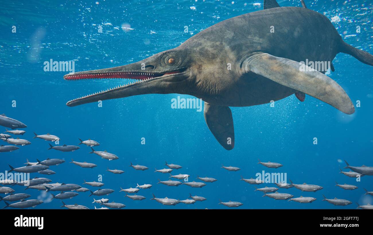 Ichthyosaur nuotare nell'oceano, estinto rettile marino da inizio Triassico a fine Cretaceo, 3d paleoart rendering Foto Stock