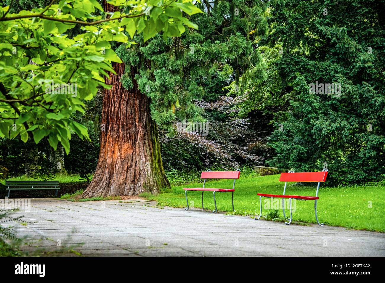 Una moneta invitante nel parco cittadino per rilassarsi e godersi la natura verde in una giornata estiva Foto Stock