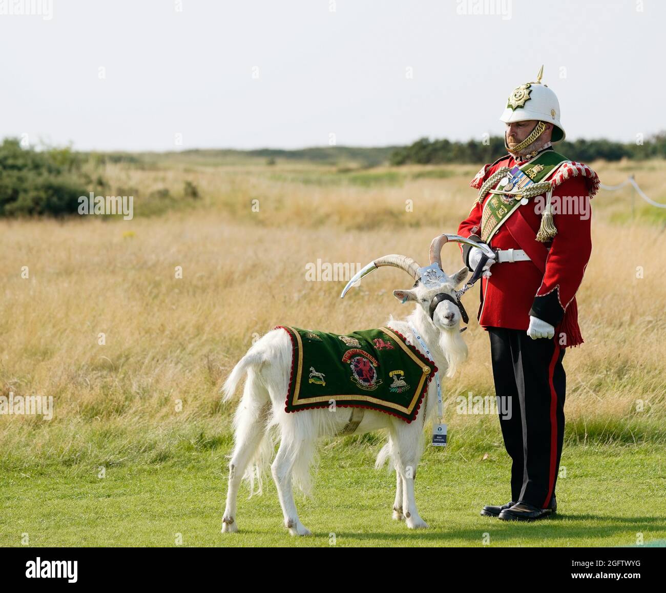 Il sergente maggiore di capra Mark Jackson con il Royal Welsh Regiment Mascot chiamò Shenkin, una capra bianca del Kashmir durante la cerimonia di apertura della 41a partita della Curtis Cup a Conwy, Galles, mercoledì 25 agosto 2021. (Steve Flynn/immagine dello sport) Foto Stock