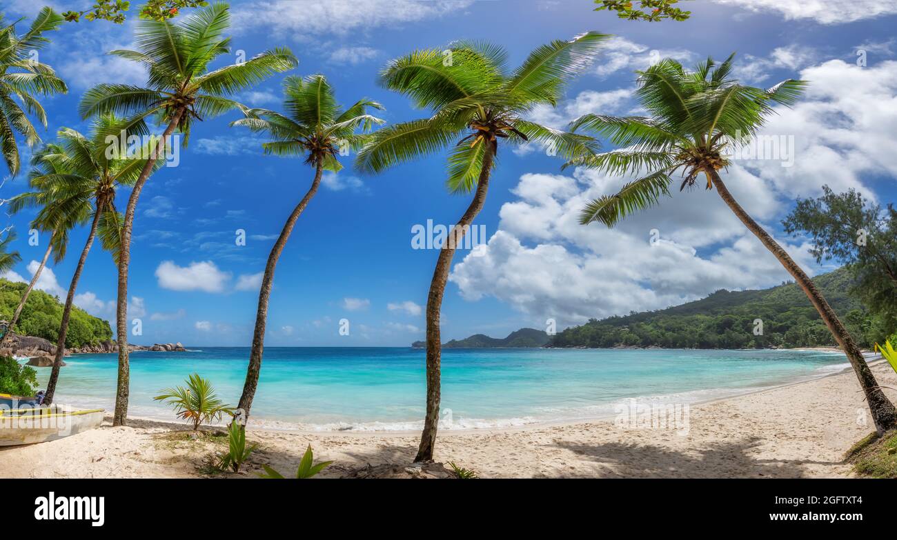 Coco palme sulla spiaggia tropicale Sunny e mare turchese in Paradise Island. Foto Stock