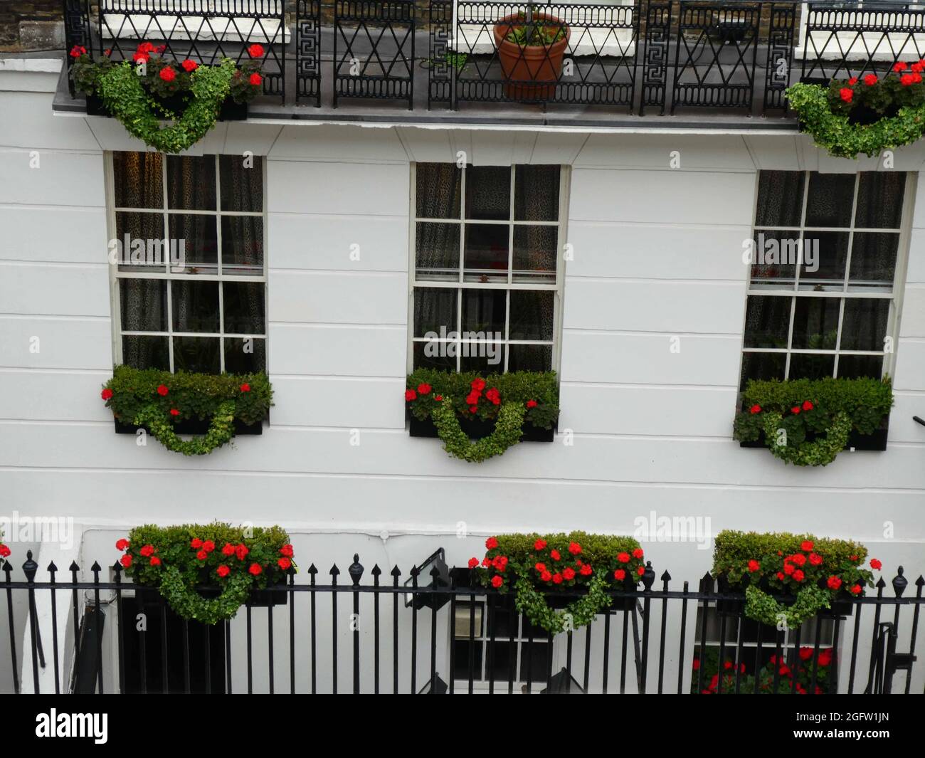 Dettaglio di un attraente ed elegante edificio bianco con scatole di fiori rossi a Londra Foto Stock