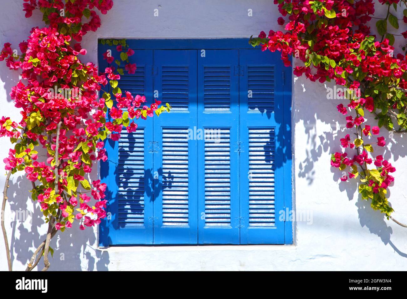 Una tipica casa nel villaggio tradizionale di Megalochori a Santorini, Grecia con pareti bianche, porte e finestre blu e fiori di bouganvillea. Foto Stock