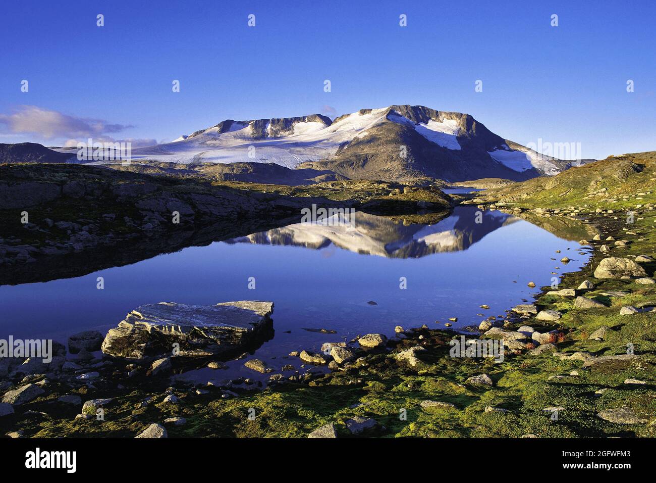 Le cime e i ghiacciai di Fannaraken si riflettono in un laghetto di acqua sciolta, Norvegia, Parco Nazionale di Jotunheimen, Fannaraken Foto Stock