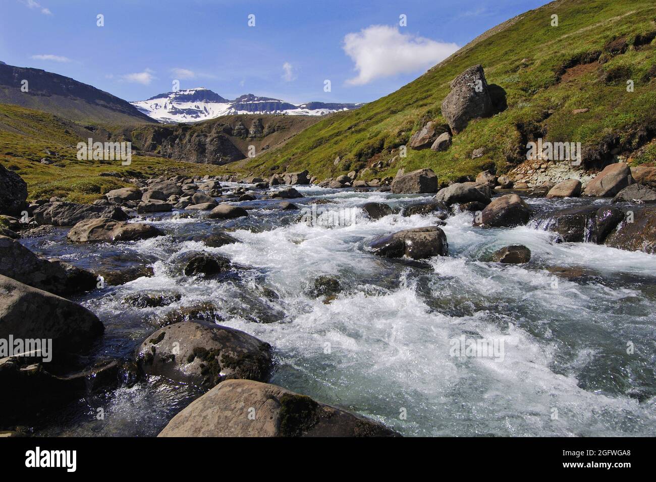 Torrente di montagna che scende dalle colline sopra Faskrudsfjordur, nel Fjords orientale, Islanda Foto Stock