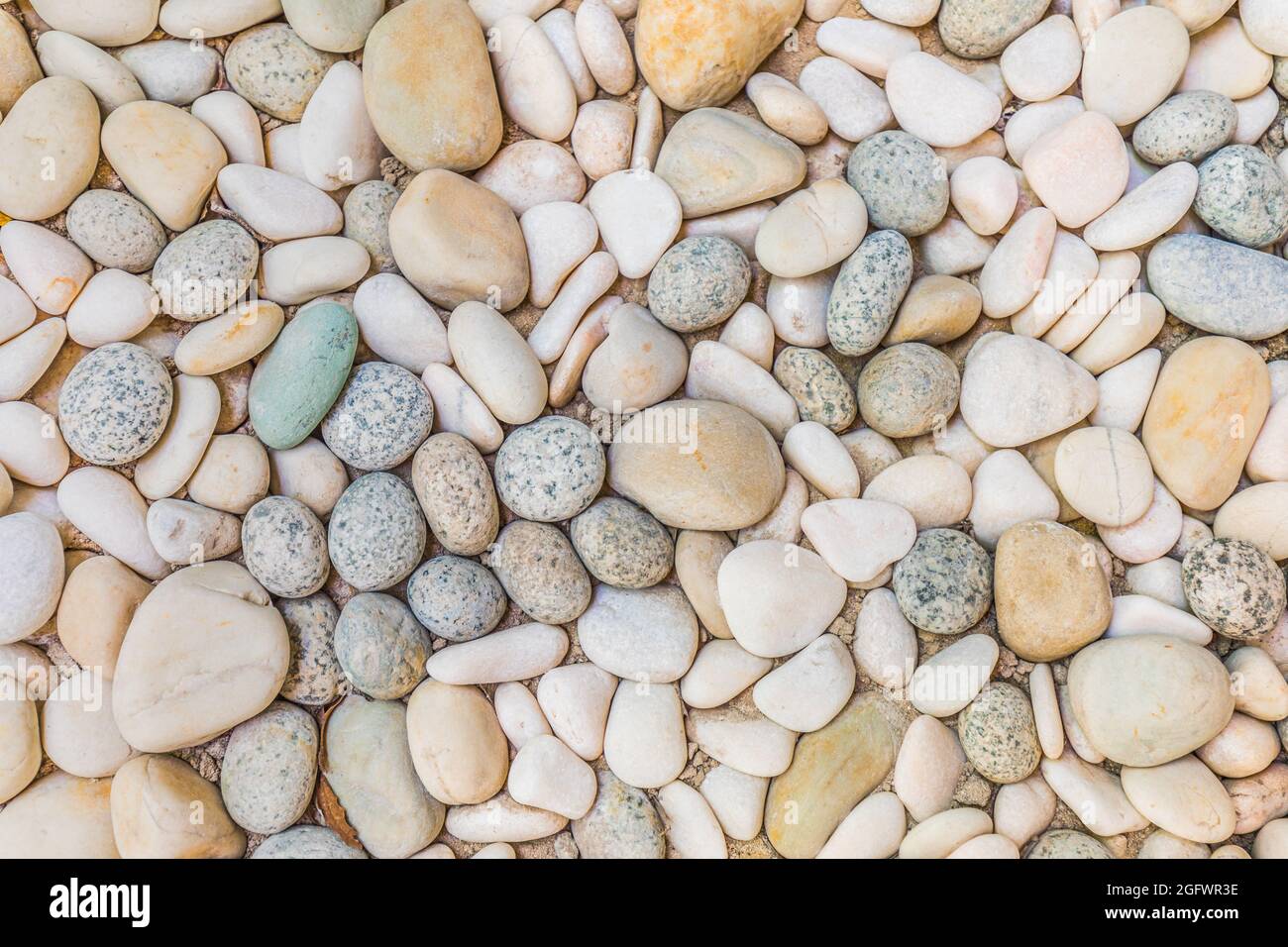 Fondo in pietra con texture sassolate per la decorazione degli interni esterni. Natura naturale, ciottoli alla luce del sole. Idilliaco, rilassante forma rotonda Foto Stock