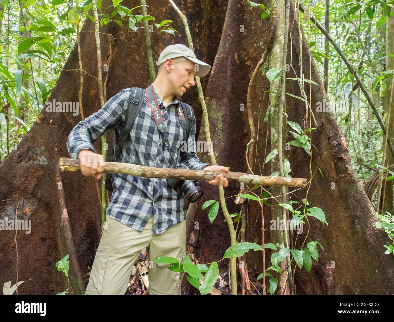 Selva, Perù - Sep, 201t: Trekking nella foresta pluviale di Amzon. Giungla Amazzonica - polmoni verdi del mondo. Brasile. Perù. Colombia, Amazonia. Sud America Foto Stock