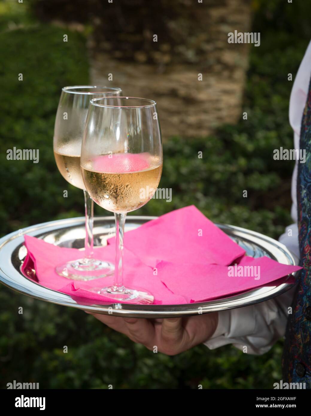 Due bicchieri di chardonnay serviti in una festa all'aperto, Napoli, Florida, USA Foto Stock