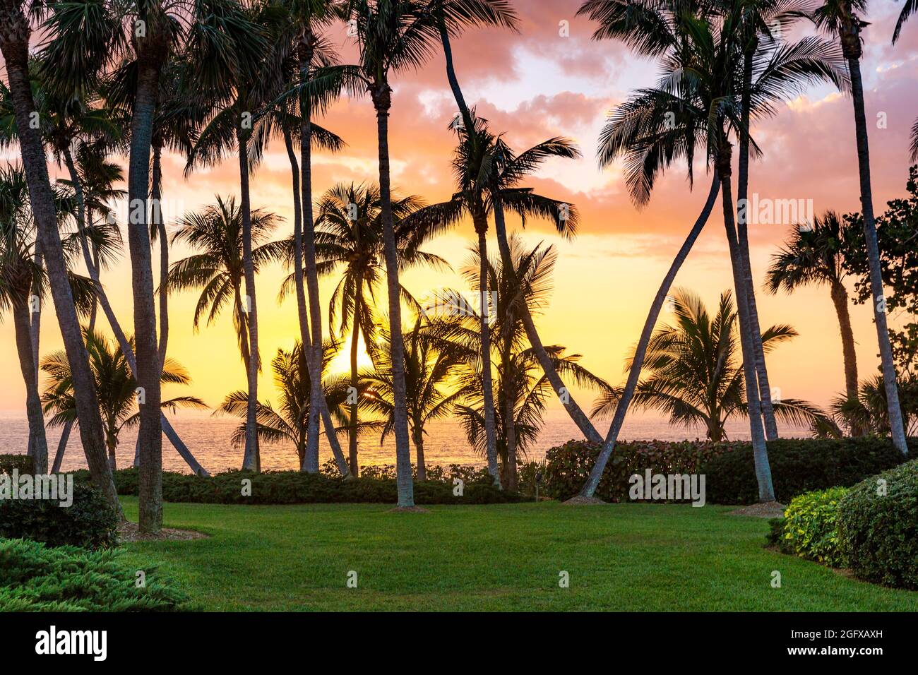 Palme e tramonto sul Golfo del Messico in Naples, Florida, Stati Uniti d'America Foto Stock