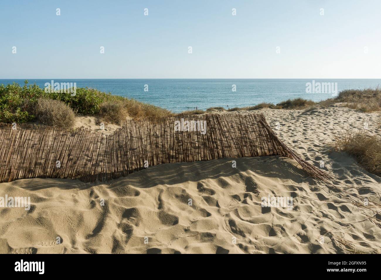 Spiaggia protetta Artola e dune vegetazione, Cabopino, monumento naturale, Andalusia, Spagna. Foto Stock