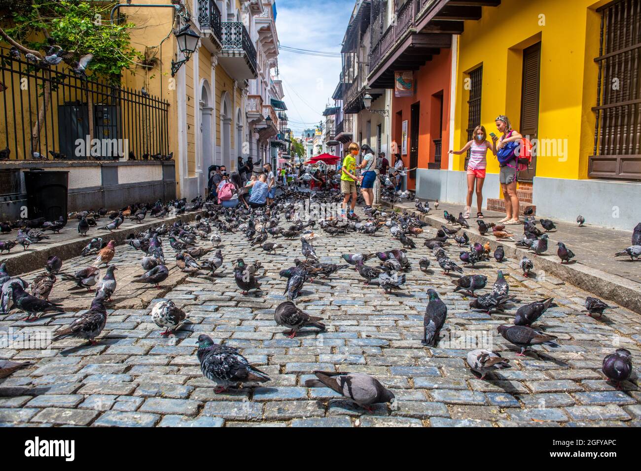 I piccioni affollano le strade della Vecchia San Juan come osservano gli spettatori - Puerto Rico Foto Stock