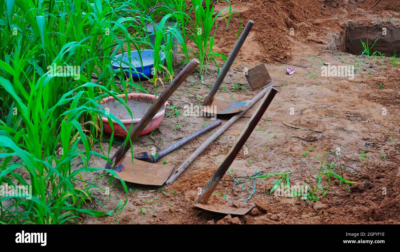 Strumenti agricoli, strumenti su terreno fertile texture sfondo visto dall'alto, vista dall'alto. Giardinaggio o piantando concetto. Lavoro nel giardino primaverile. Foto Stock