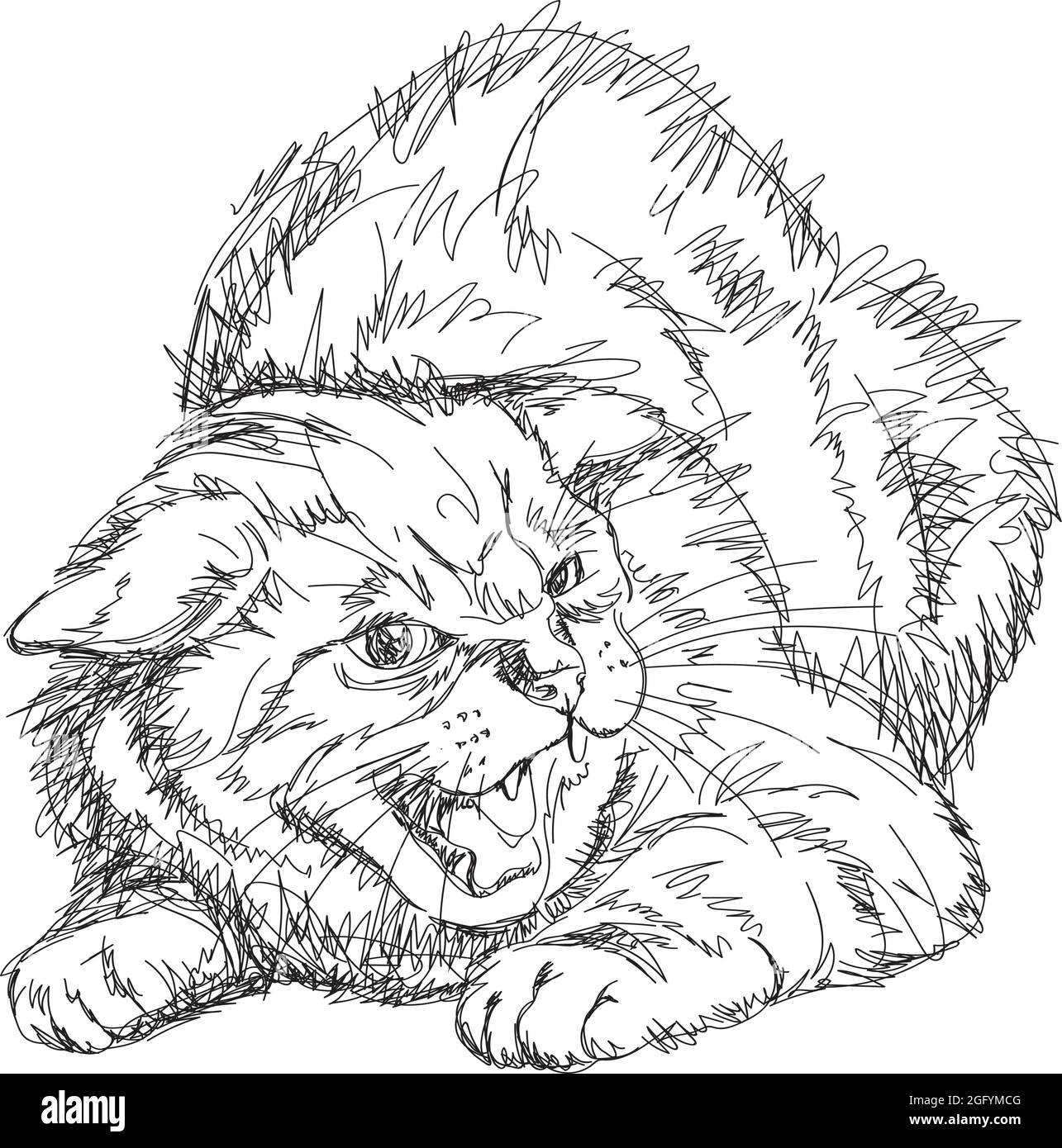 immagine di un gatto, figura, grin di un muso, posa aggressiva di un gatto, l'immagine della figura di un gatto grinning in una posa aggressiva Illustrazione Vettoriale