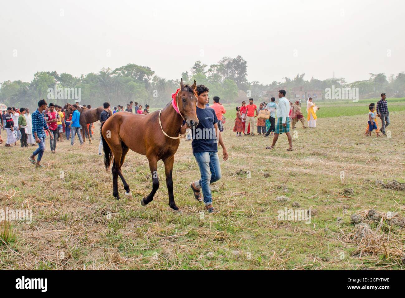 Corsa di cavalli rurali a sud 24 Parganas bengala ovest Foto Stock