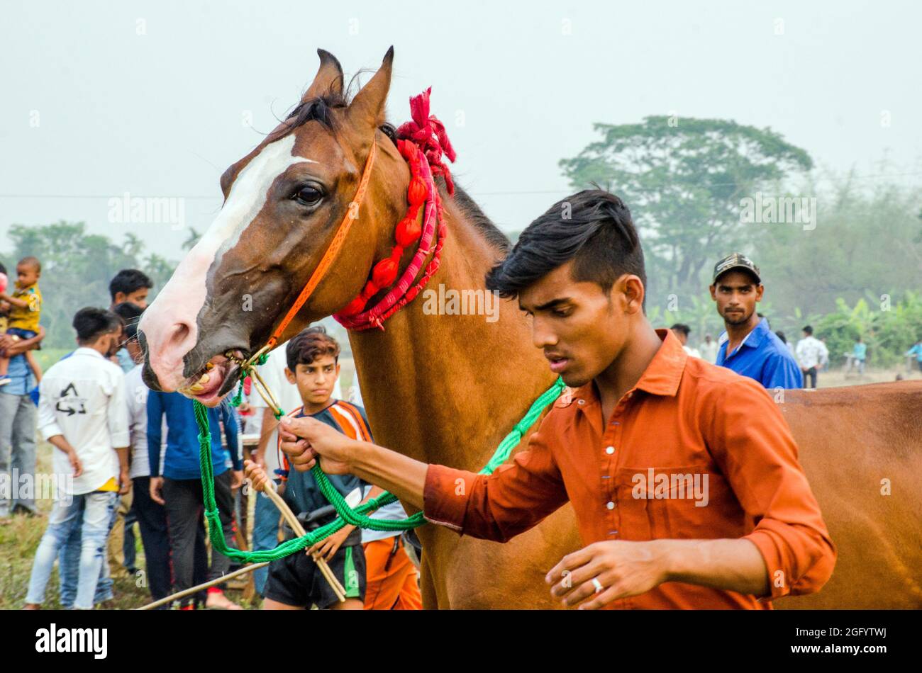 Corsa di cavalli rurali a sud 24 Parganas bengala ovest Foto Stock